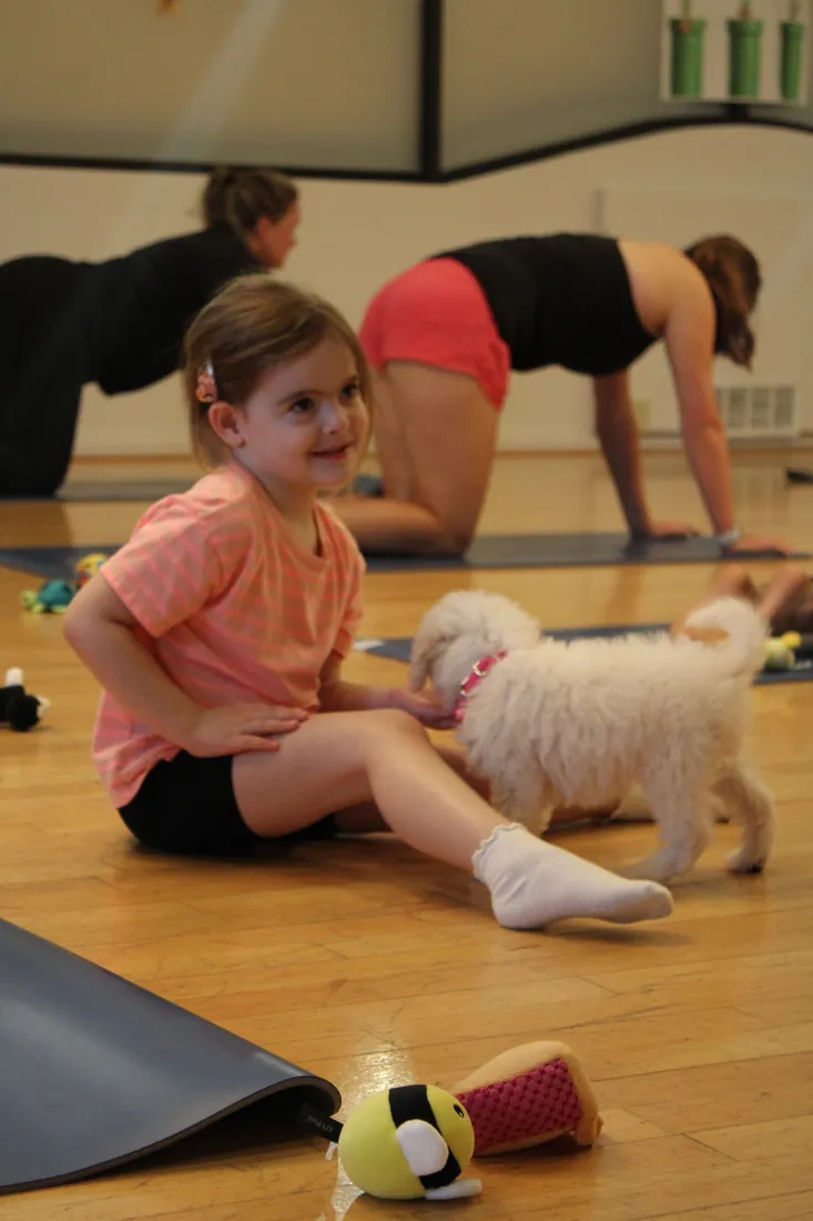 Adults relaxing with puppies at a Pawty Yoga event in Houston
