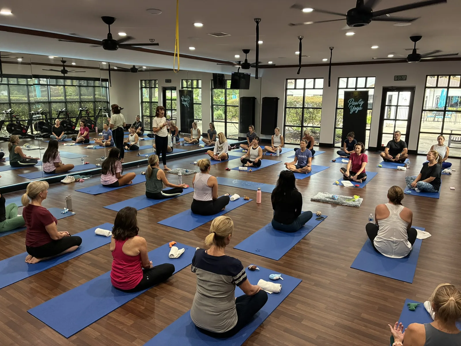 A full puppy yoga class at a private Houston venue with floor-to-ceiling windows