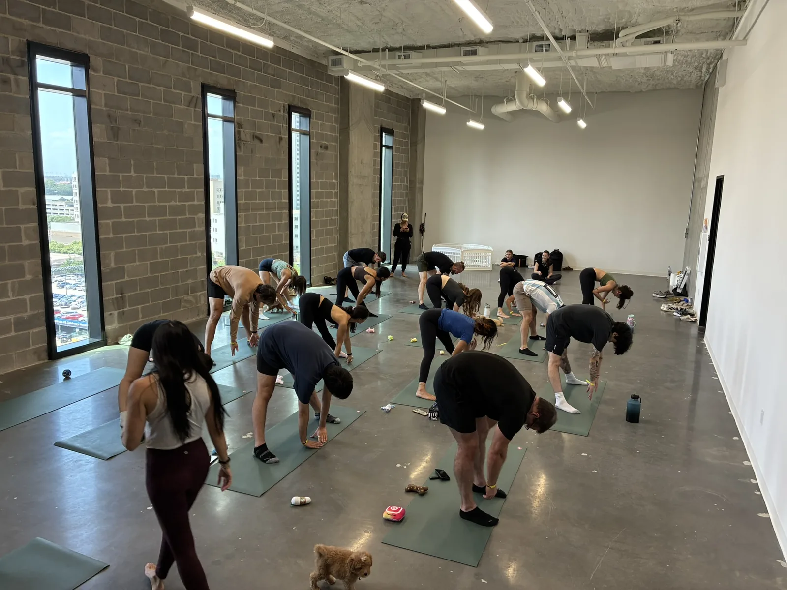 A Houston team doing puppy yoga together in an office loft at a company holiday event