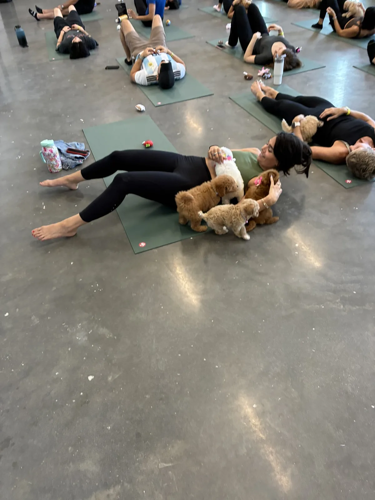 A guest lying back on a mat with two puppies asleep on her chest in Houston