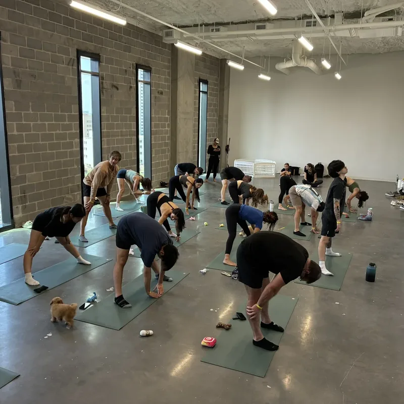A Houston team stretching together in a forward fold with puppies on the floor