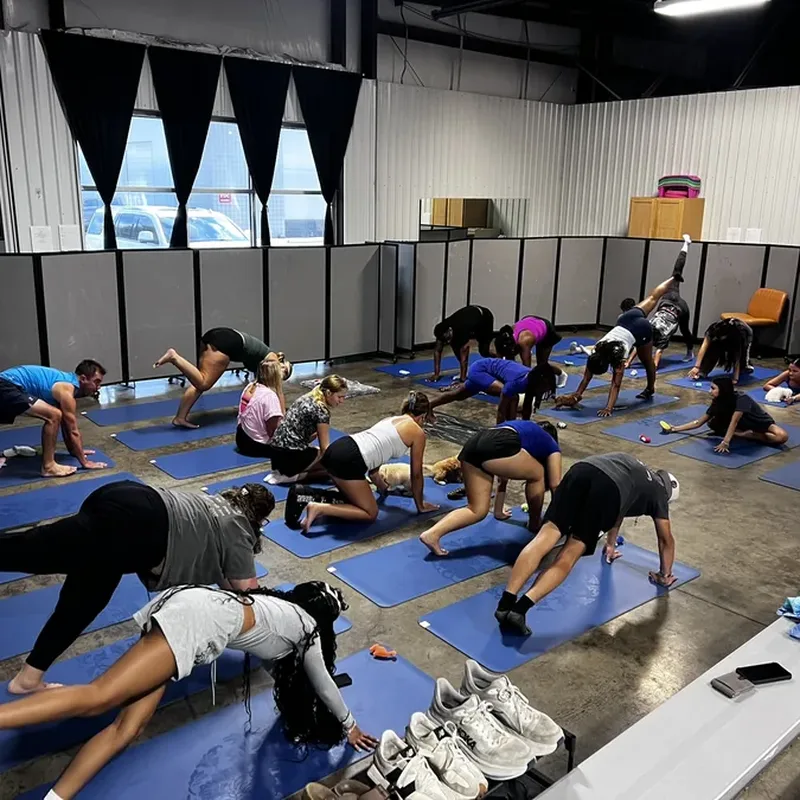 Colleagues in a plank pose with puppies roaming at a Houston team building event