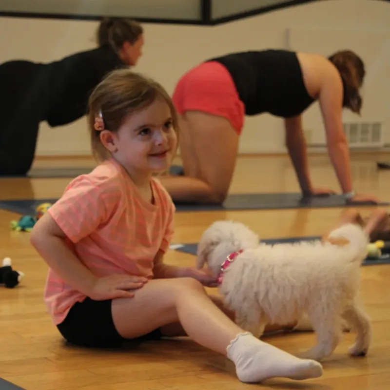 A little girl smiling at a fluffy white puppy during a Houston kids puppy yoga class