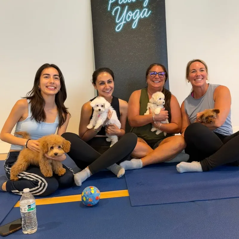 Friends holding puppies in front of the Pawty Yoga neon sign at a Houston holiday party