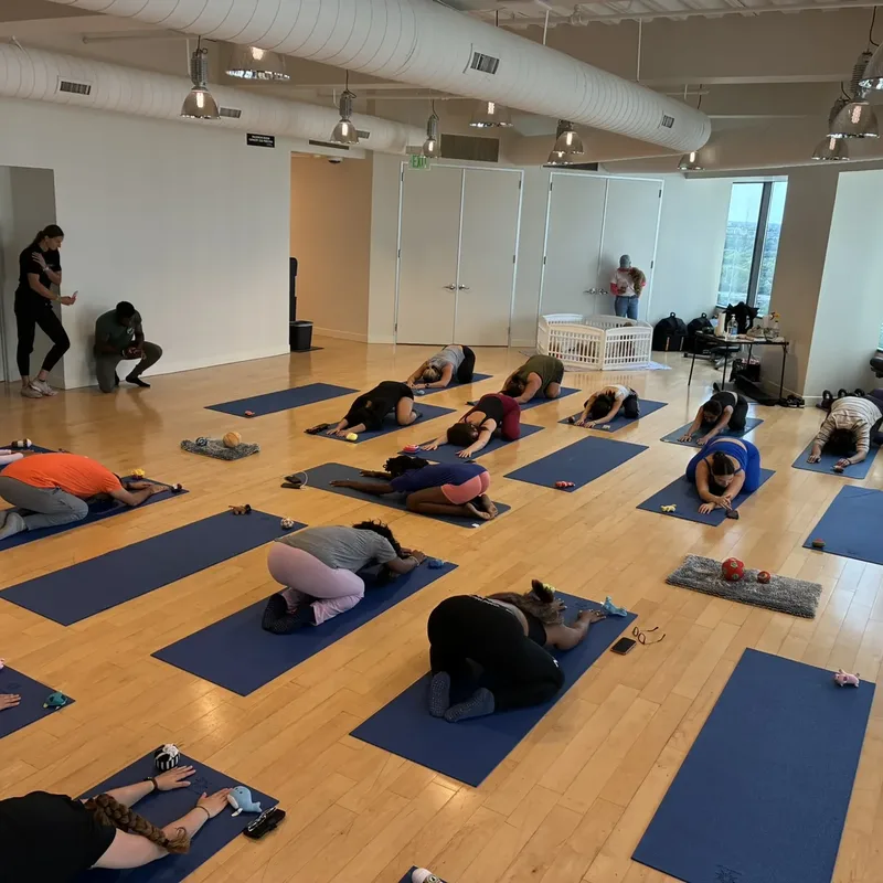 Guests resting in a restorative pose with puppies at a Houston puppy yoga class