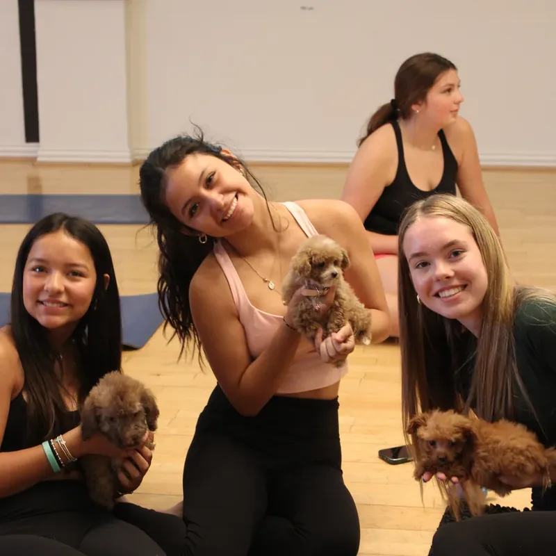 Three friends laughing with puppies at a Houston puppy yoga class